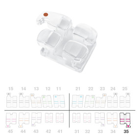 Brackets DB Absolute Roth .018" LL5 c/g  5pz.