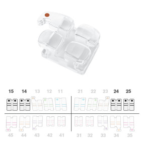 Brackets DB Absolute Roth .022" U45   5pz.