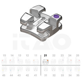 Brackets DB Focus (Agility...