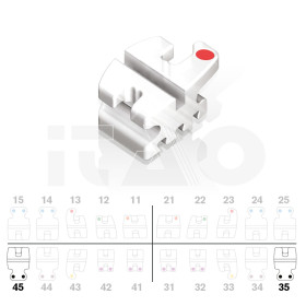 Brackets DB Prism Roth .022" LO5 c/g 5pz.