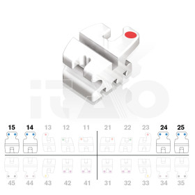 Brackets DB Prism Roth .018" UP4/5 c/g 5pz.