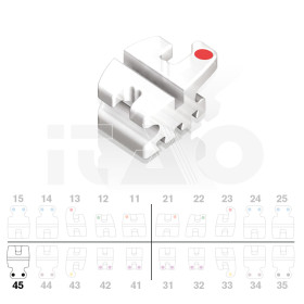 Brackets DB Prism MBT .022" LR5 c/g 5pz.