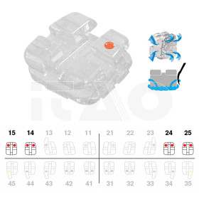 Brackets DB Vapor Roth...