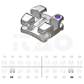 Brackets DB Focus Roth .018" LO4 5pz.