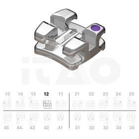 Brackets DB Focus (Agility Twin) Roth .018" UR2 5pz.