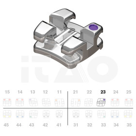 Brackets DB Focus Roth .018" UL3 10pz.