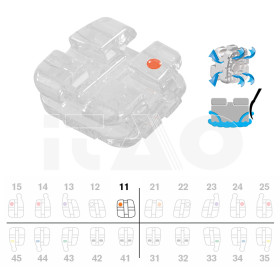 Brackets DB Agility Ceramic Roth .018" UR1 5pz.