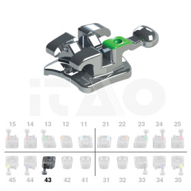 Brackets DB Max Roth .018" LR3 con gancio 10 pz.