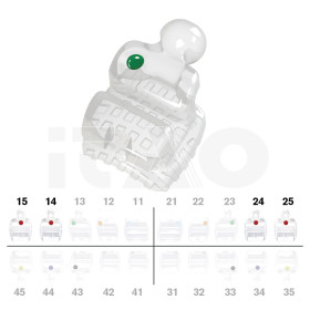 Brackets DB PolySafira Roth .022" U4/5 con gancio 2 pz.