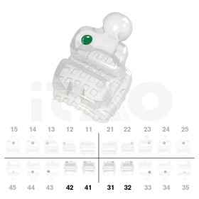 Brackets DB PolySafira Roth .022" L1/2 2 pz.