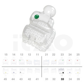 Brackets DB PolySafira Roth .022" LL3 con gancio 2 pz.