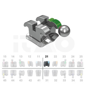 Brackets DB Ricketts Actual .018" UL1 10 pz.