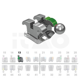Brackets DB Ricketts Actual .018" UR3 con gancio 10 pz.