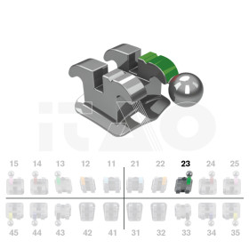Brackets DB Ricketts Actual .018" UL3 con gancio 10 pz.