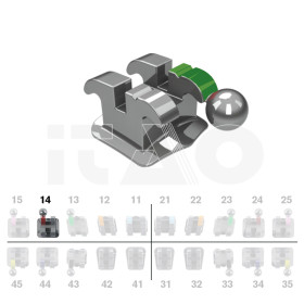 Brackets DB Ricketts Actual .018" UR4 con gancio 10 pz.