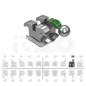 Brackets DB Ricketts Actual .018" UL4 con gancio 10 pz.