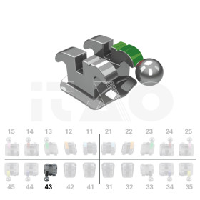 Brackets DB Ricketts Actual...
