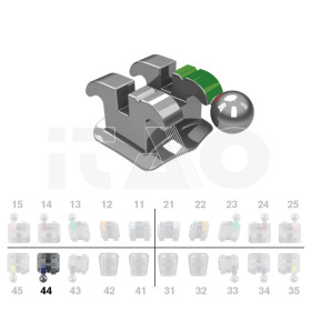 Brackets DB Ricketts Actual...