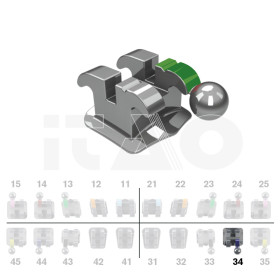 Brackets DB Ricketts Actual .018" LL4 con gancio 10 pz.