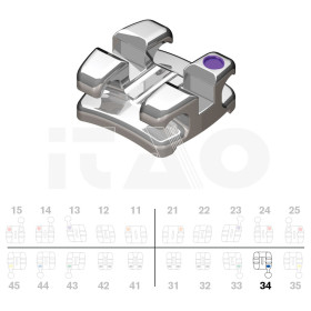 Brackets DB Focus (Agility...