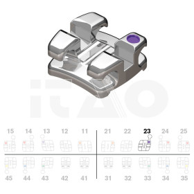 Brackets DB Focus MBT .022"...