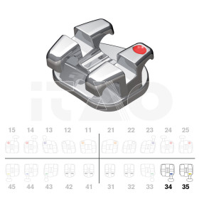 Brackets DB Magnum Ricketts...