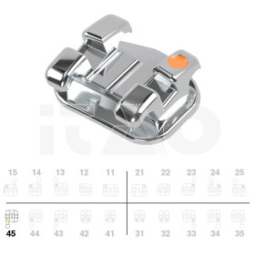 Brackets DB miniPrevail Roth .018" LR5 con gancio 5pz.