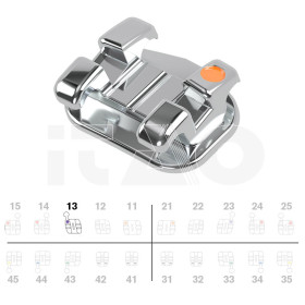 Brackets DB miniPrevail MBT...