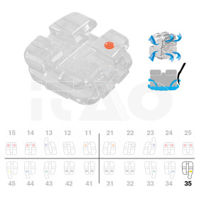 Brackets DB Agility Ceramic Roth .018" LL5 con gancio 5pz.