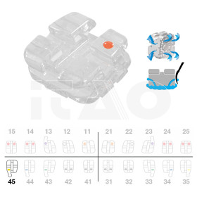 Brackets DB Agility Ceramic Roth .018" LR5 con gancio 5pz.
