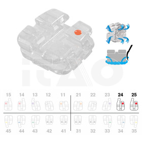 Brackets DB Agility Ceramic Roth .018" UL45 con gancio 5pz.