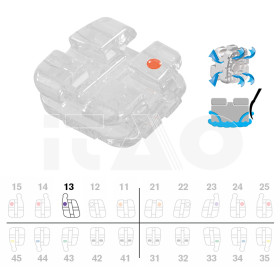 Brackets DB Agility Ceramic MBT .022" UR3 con gancio 5pz.