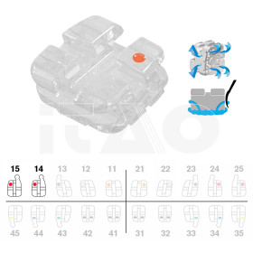 Brackets DB Agility Ceramic MBT .022" UR45 con gancio 5pz.