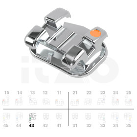 Brackets DB miniPrevail Roth .022" LR3 con gancio 5pz.