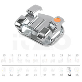Brackets DB miniPrevail Roth .022" LL4 con gancio 5pz.