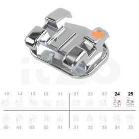 Brackets DB miniPrevail...