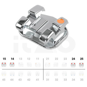 Brackets DB miniPrevail MBT...