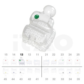 Brackets DB PolySafira MBT .022" UR3 con gancio 2 pz.