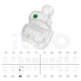 Brackets DB PolySafira MBT .022" LR3 con gancio 2 pz.