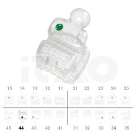 Brackets DB PolySafira MBT .022" LR4 con gancio 2 pz.