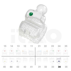 Brackets DB PolySafira MBT .022" LL4 con gancio 2 pz.