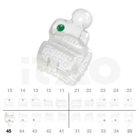Brackets DB PolySafira MBT .022" LR5 con gancio 2 pz.
