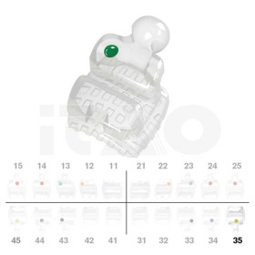 Brackets DB PolySafira MBT .022" LL5 con gancio 2 pz.