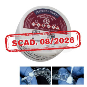 Perfect A Smile Pontic Paint  resina foto Vita Shade B1...