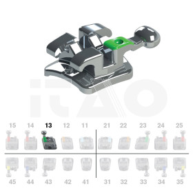 Brackets DB Max Roth .022" UR3 con gancio (9° ang.) 10 pz.