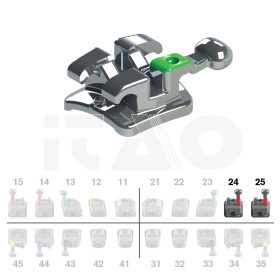 Brackets DB Max Roth .022" UL4/5 con gancio 10 pz.