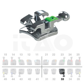 Brackets DB Max Roth .022"...