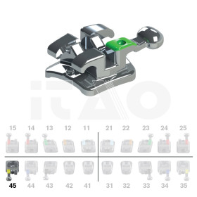 Brackets DB Max Roth .022" LR5 con gancio 10 pz.